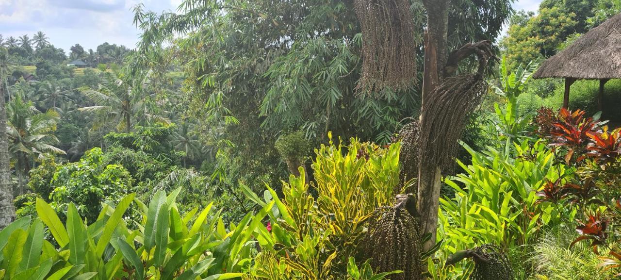 Rumah Sungai Villa Убуд Екстериор снимка