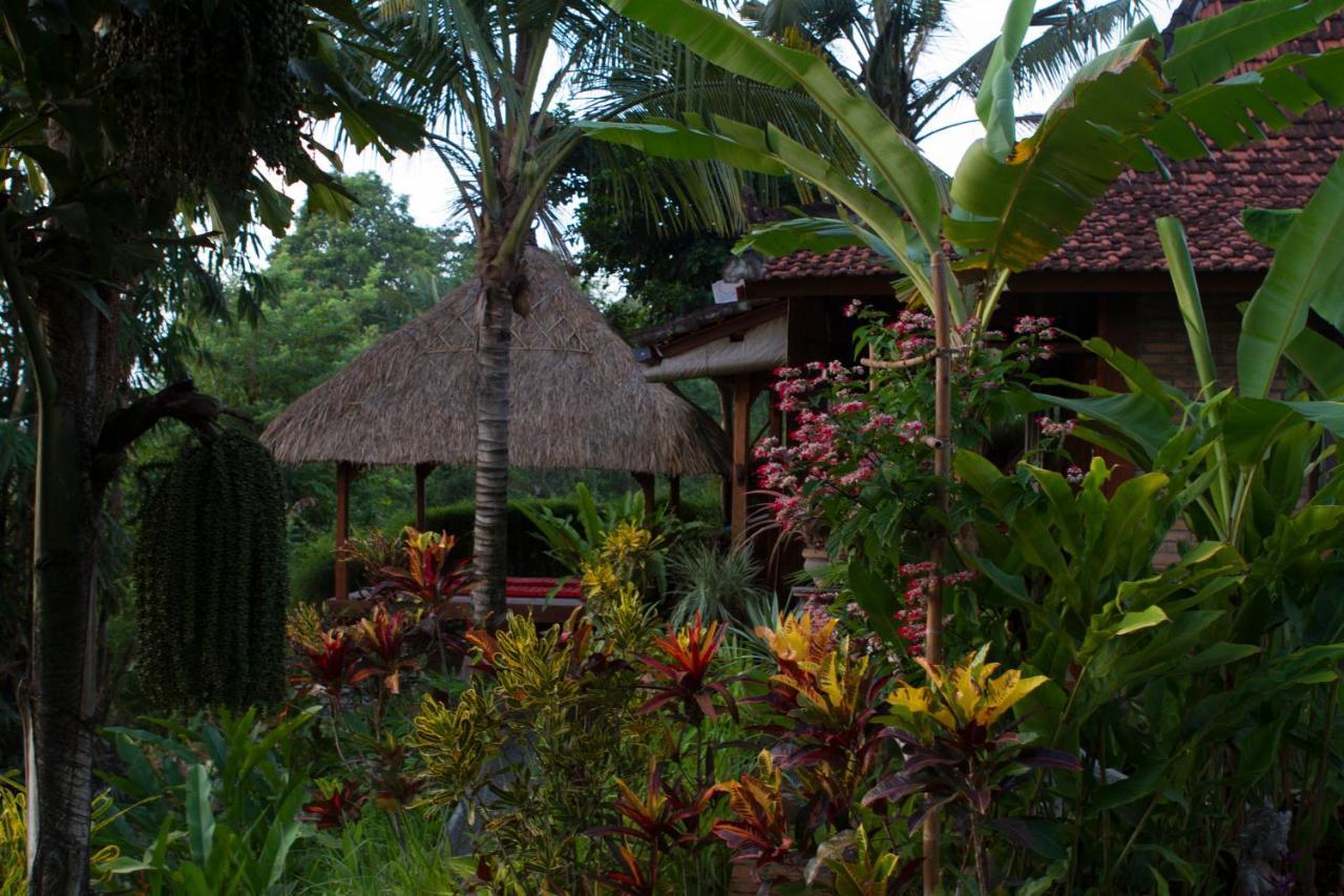 Rumah Sungai Villa Убуд Екстериор снимка