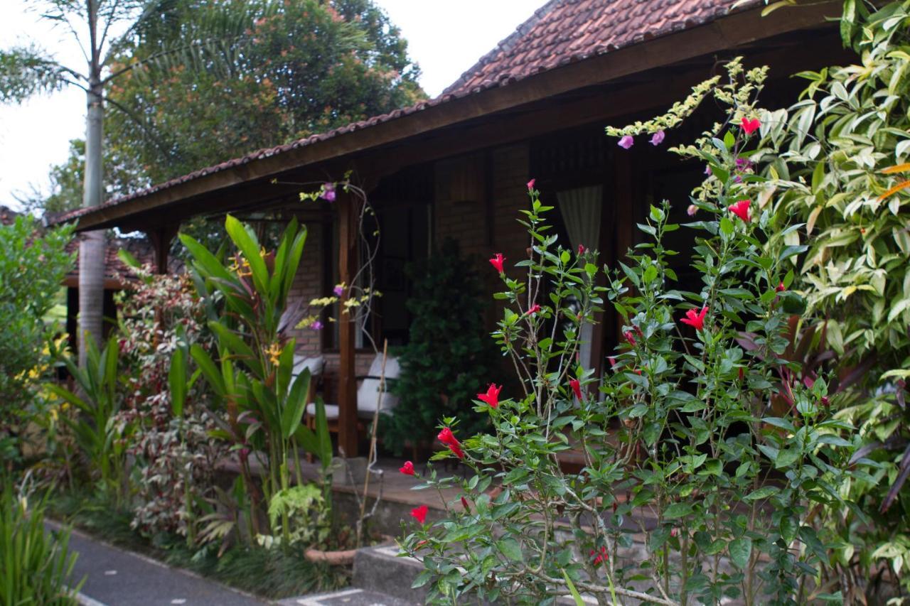 Rumah Sungai Villa Убуд Екстериор снимка