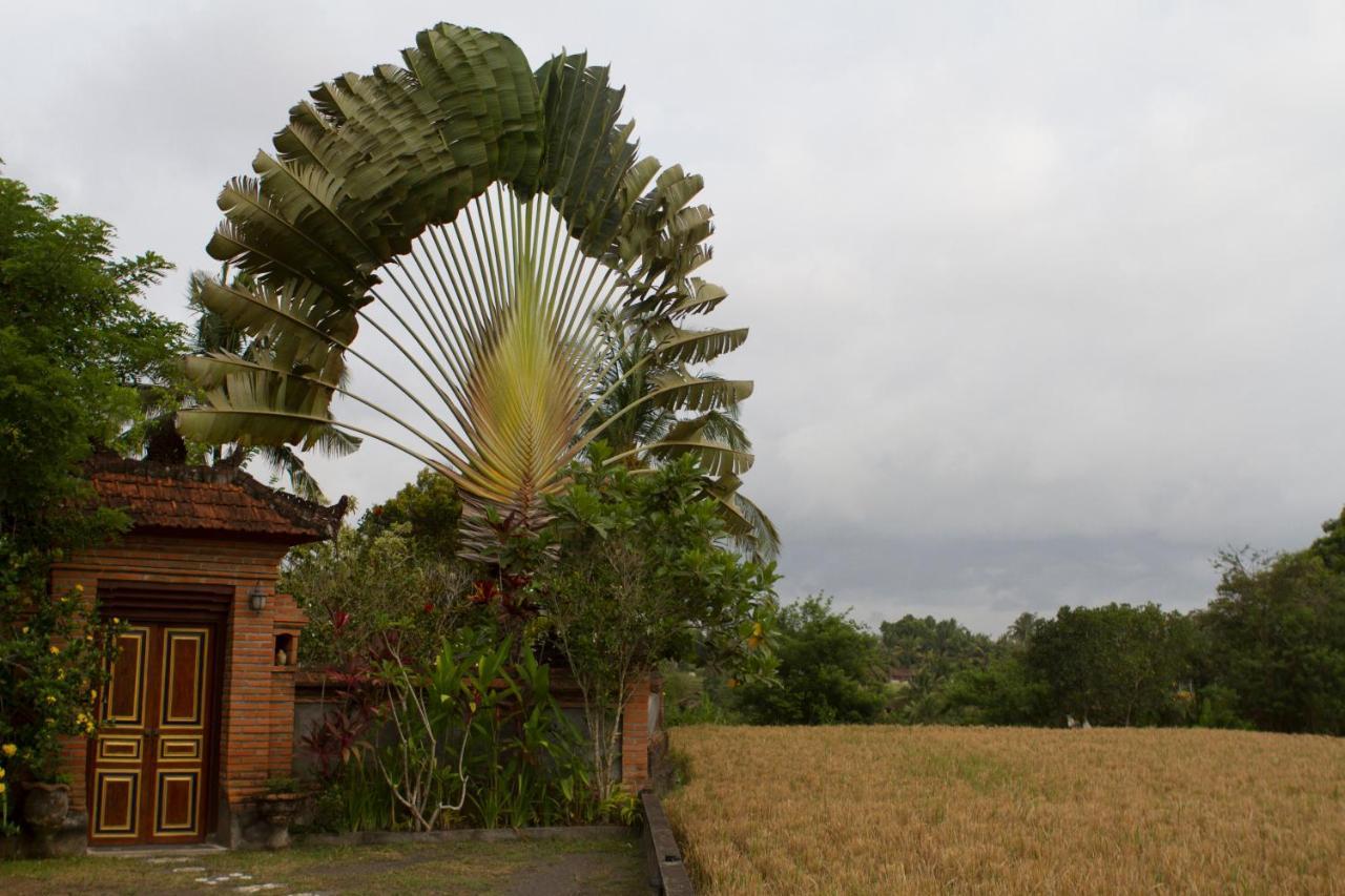 Rumah Sungai Villa Убуд Екстериор снимка