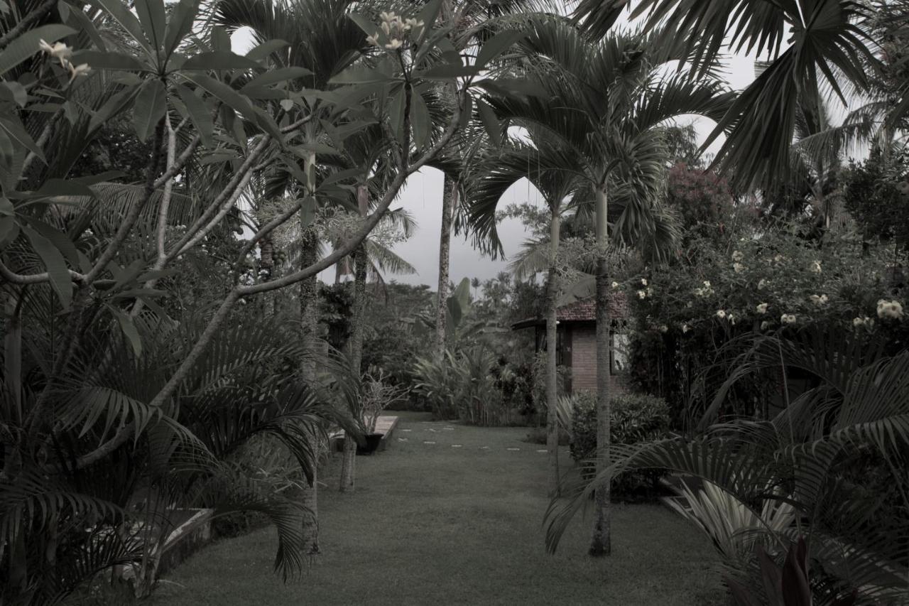 Rumah Sungai Villa Убуд Екстериор снимка