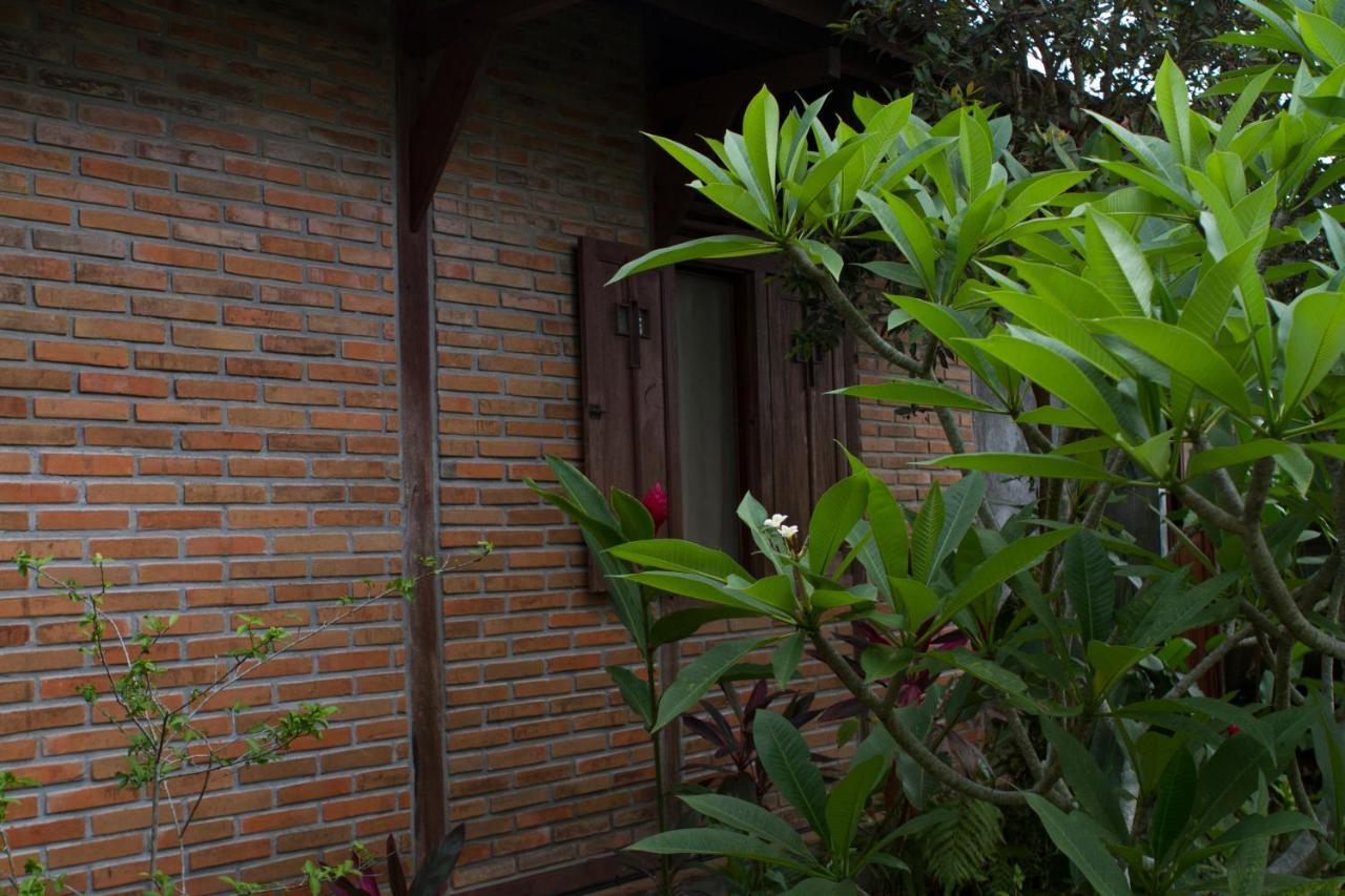 Rumah Sungai Villa Убуд Екстериор снимка