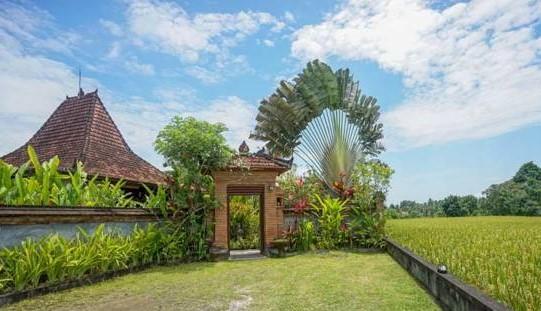 Rumah Sungai Villa Убуд Екстериор снимка