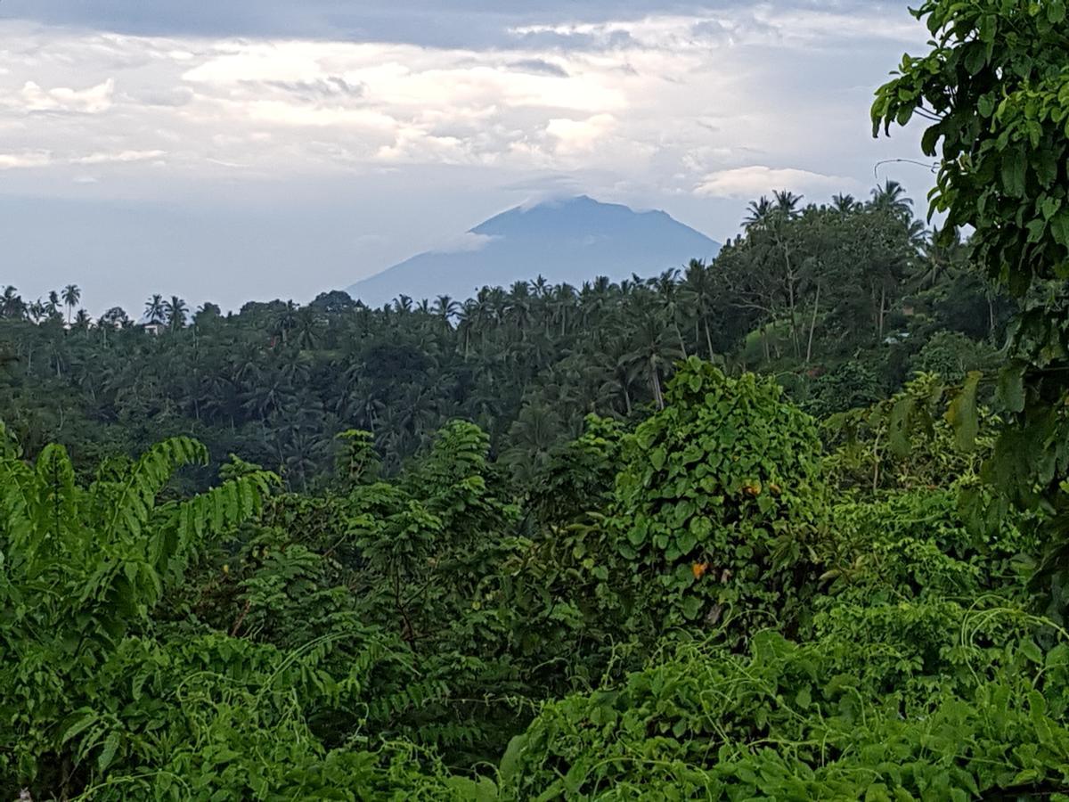 Rumah Sungai Villa Убуд Екстериор снимка