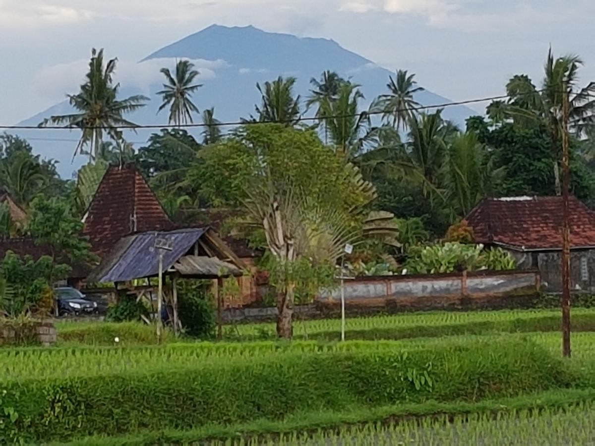 Rumah Sungai Villa Убуд Екстериор снимка