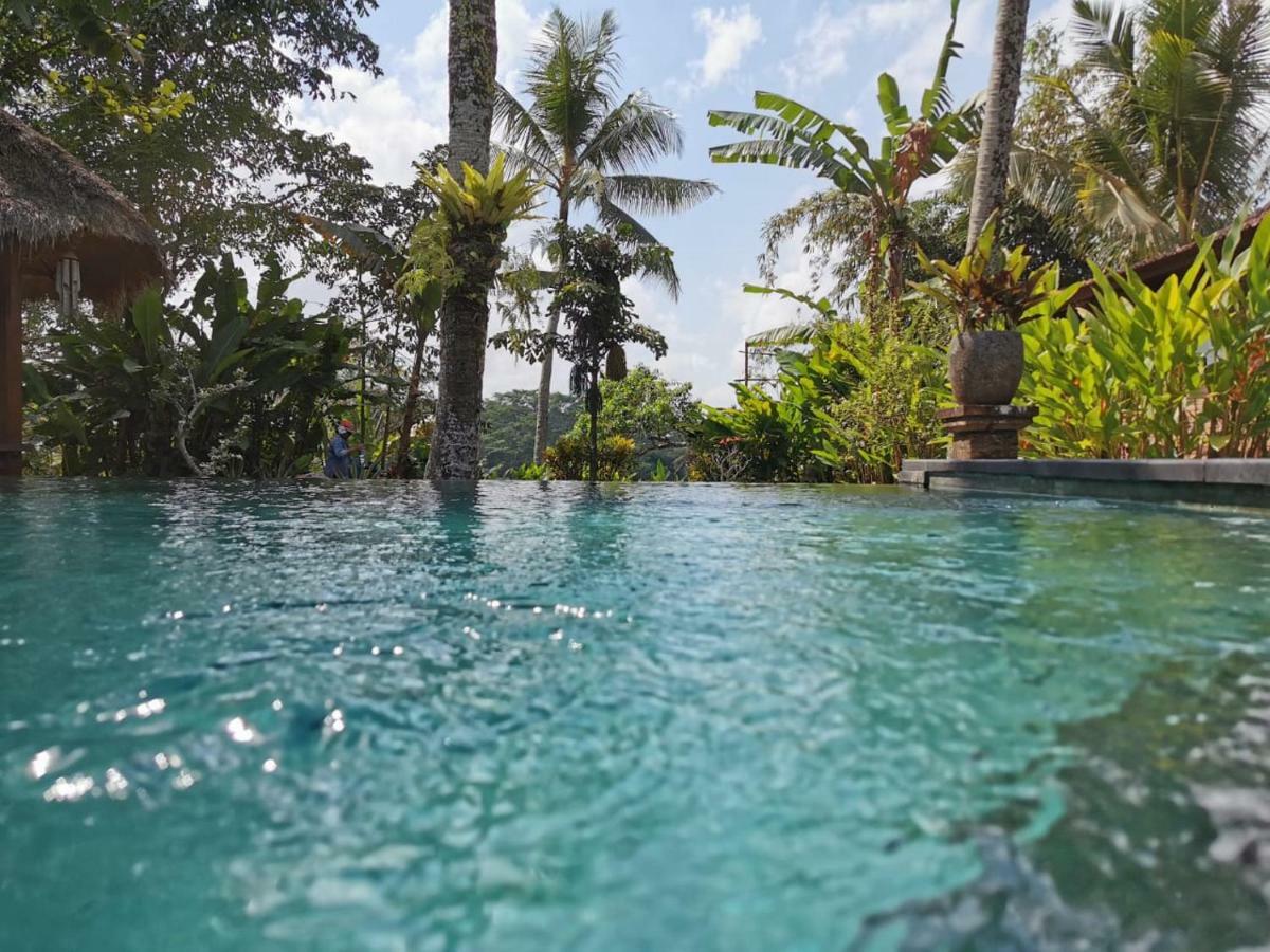 Rumah Sungai Villa Убуд Екстериор снимка